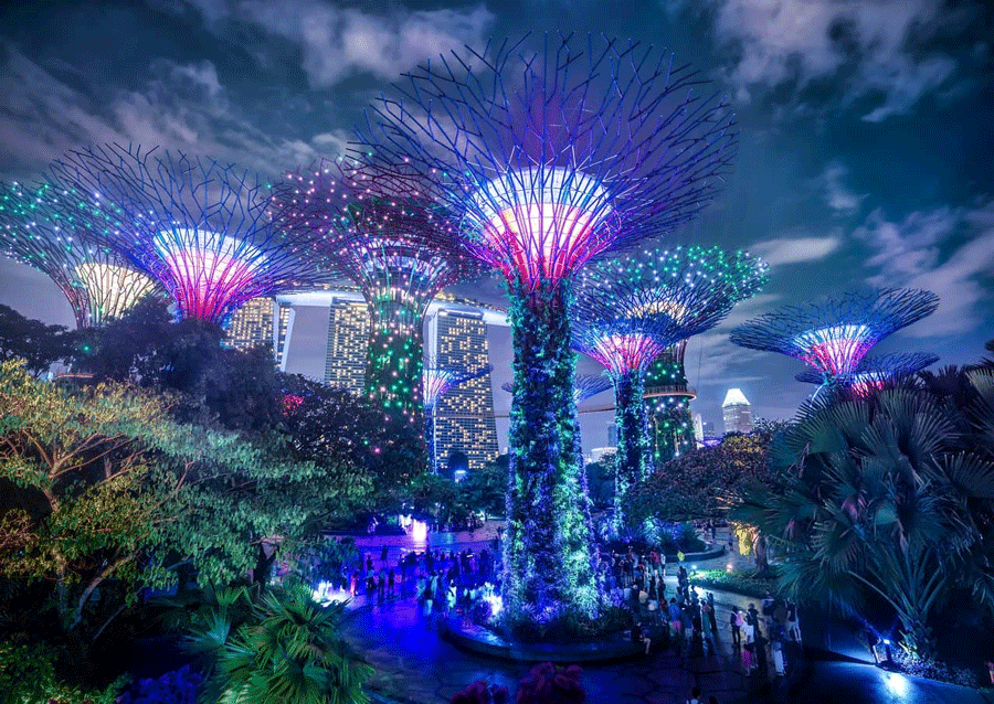 Garden By The Bay