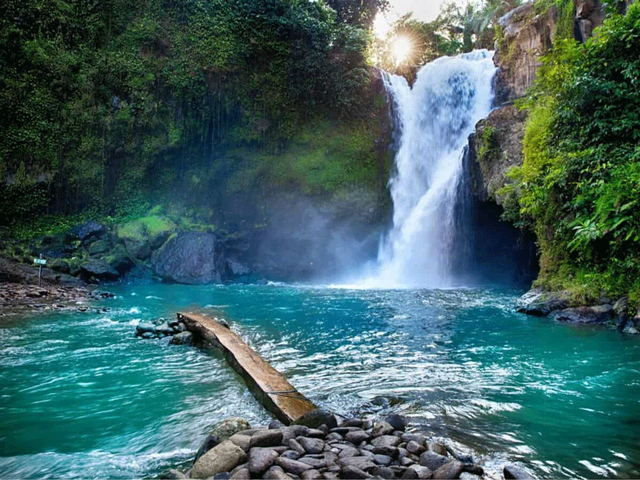 Ubud Area