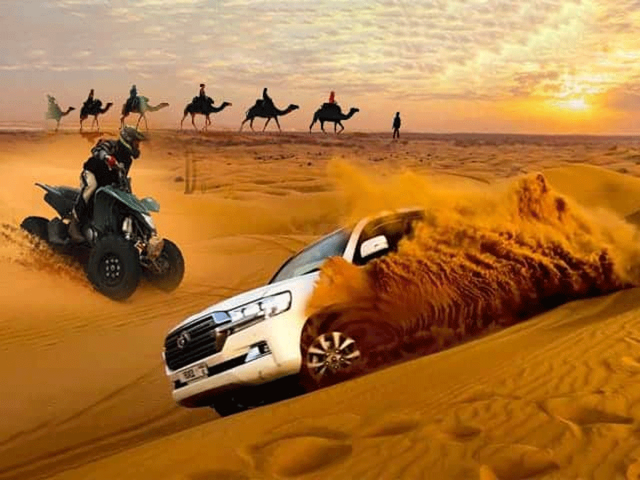 Desert Safari